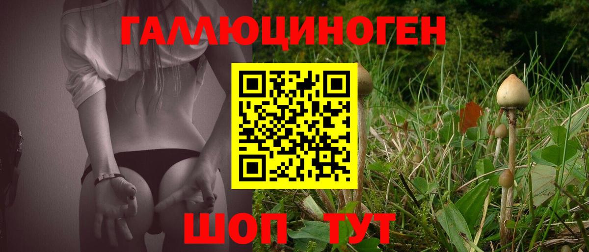 Рославль  Галлюциногенные грибы MAGIC MUSHROOMS  закладка  Галлюциногенные грибы Psilocybe  Вход с VPN 